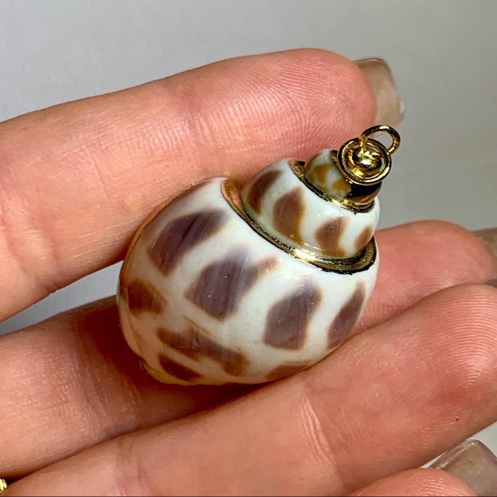 ⭐️ Gold Plated Shell ⭐️ - Picture 4 of 8